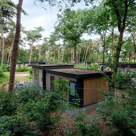 Forestlodge In Het Vechtdal - 5 Persoons Харденберг Екстериор снимка
